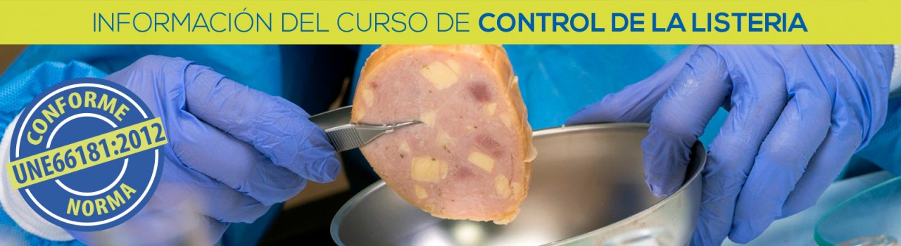portada del curso