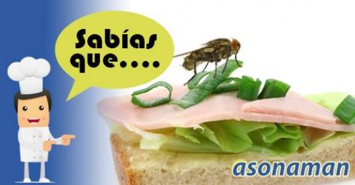 Imagen de Sabias qué