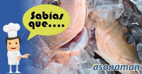 Imagen de Sabias qué