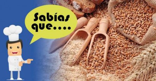 Imagen de Sabias qué