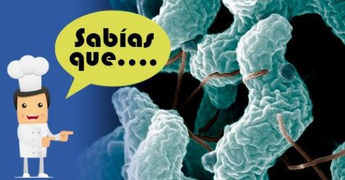 Imagen de Sabias qué