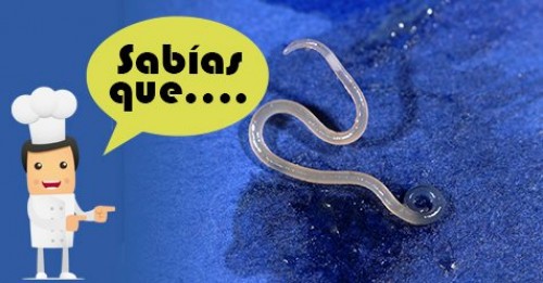 Imagen de Sabias qué