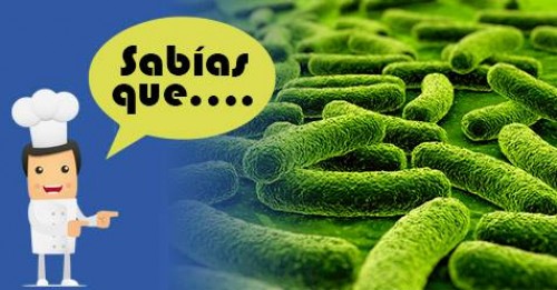 Imagen de Sabias qué
