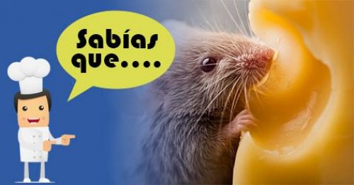 Imagen de Sabias qué