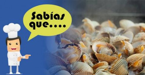 Imagen de Sabias qué