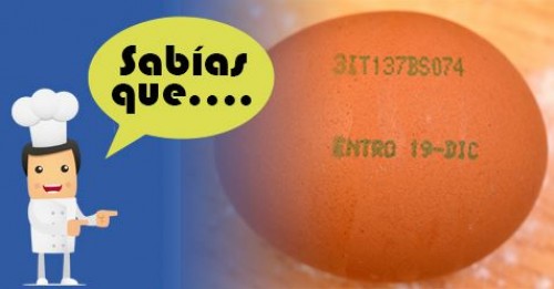 Imagen de Sabias qué