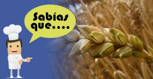 Imagen de Sabias qué