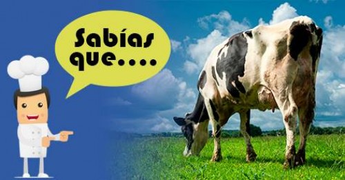 Imagen de Sabias qué
