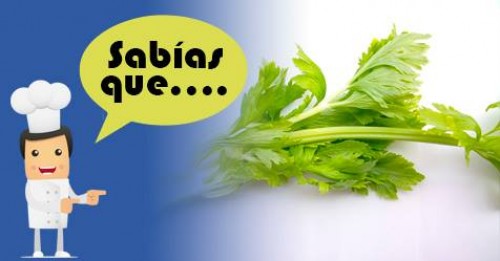 Imagen de Sabias qué