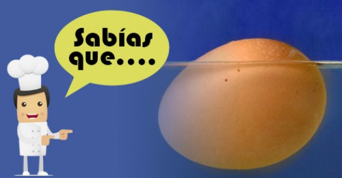 Imagen de Sabias qué