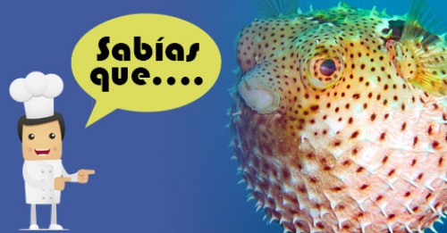 Imagen de Sabias qué