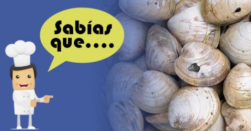 Imagen de Sabias qué