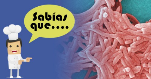 Imagen de Sabias qué