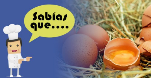 Imagen de Sabias qué