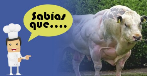 Imagen de Sabias qué