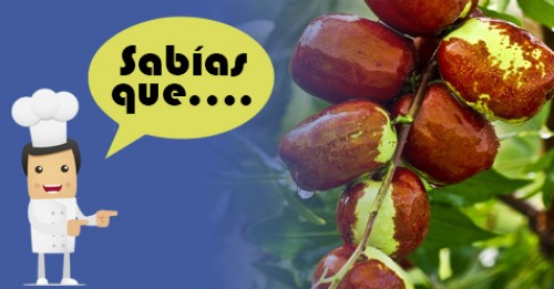 Imagen de Sabias qué