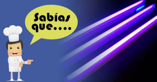 Imagen de Sabias qué