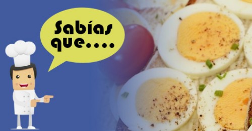 Imagen de Sabias qué