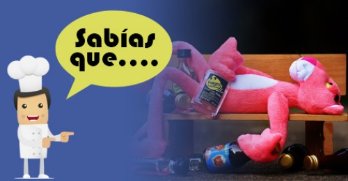 Imagen de Sabias qué