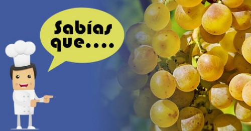 Imagen de Sabias qué