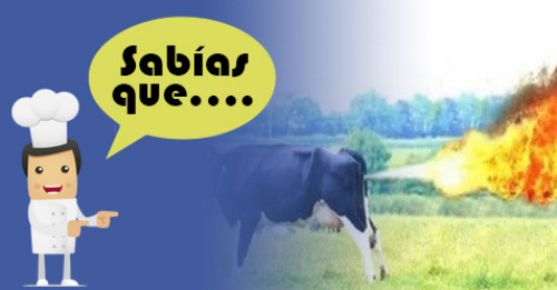Imagen de Sabias qué