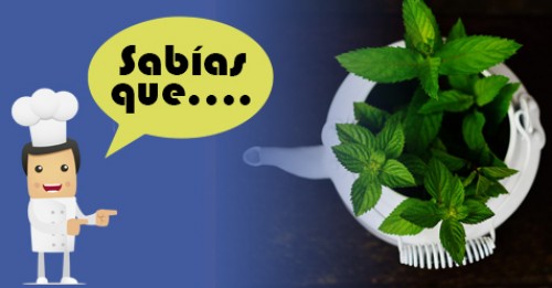 Imagen de Sabias qué
